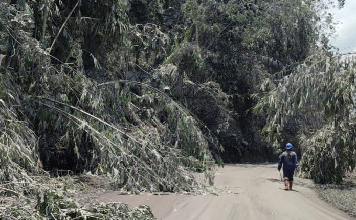 Kerahkan Alat Berat Buka Akses Maumere-Larantuka