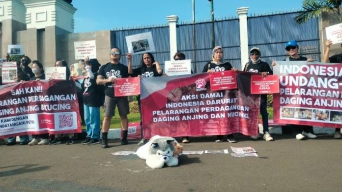 Aktivis dan pencinta hewan