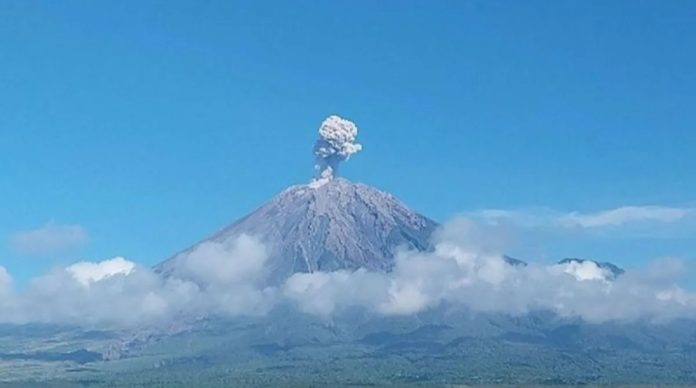 Gunung semeru