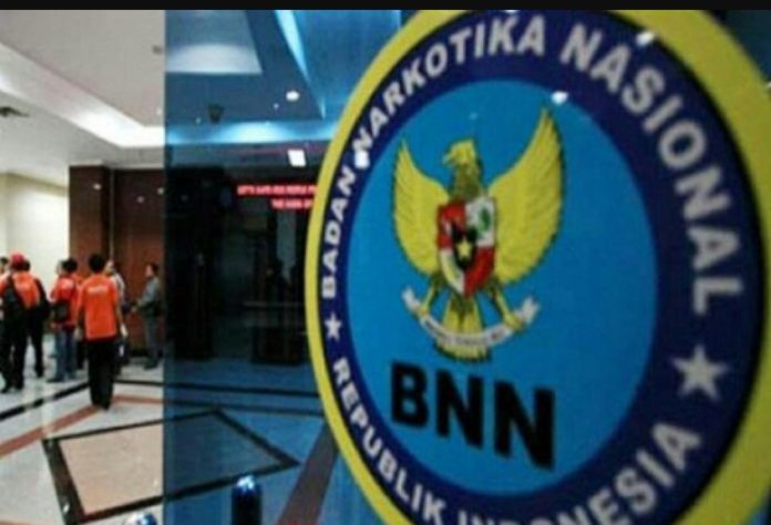 Bnn