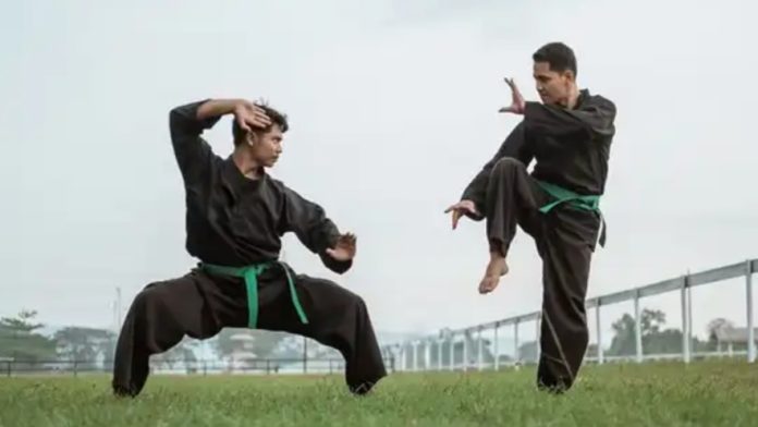 Pencak silat