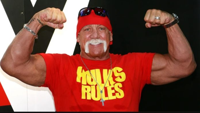 Hulk Smackdown hogan