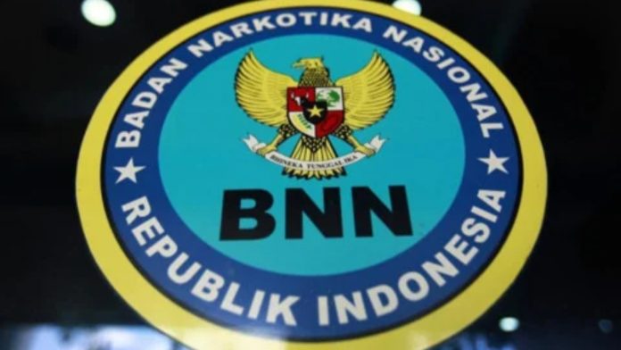 BNN