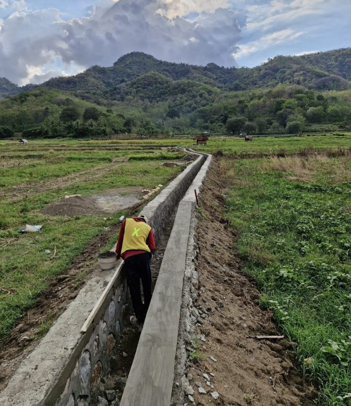 Irigasi sawah