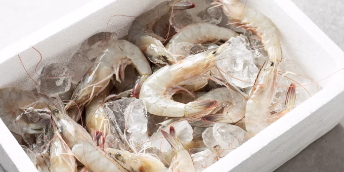udang beku
