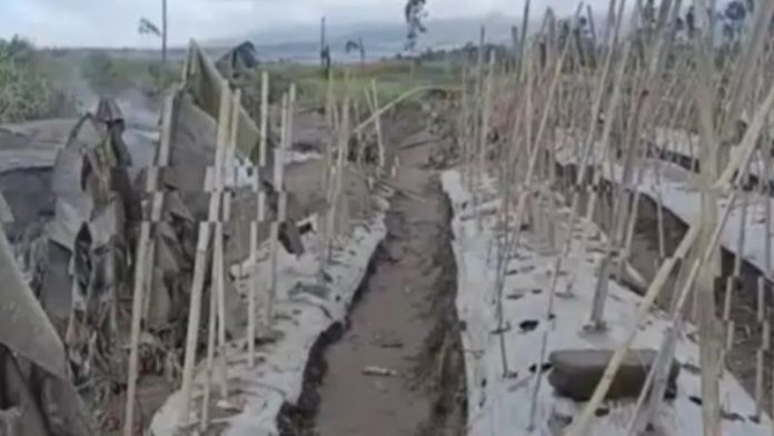 erupsi gunung semeru