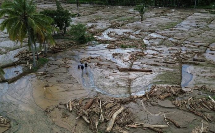 sawah rusak akibat bencana