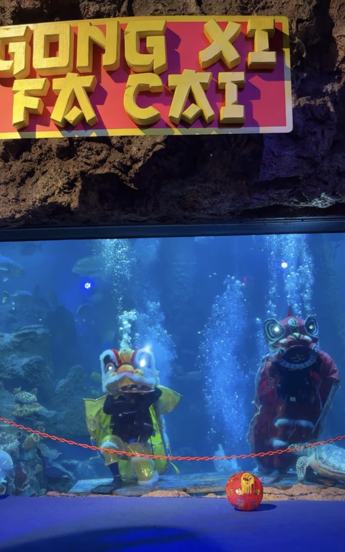 Atraksi barongsai di Seaworld Ancol